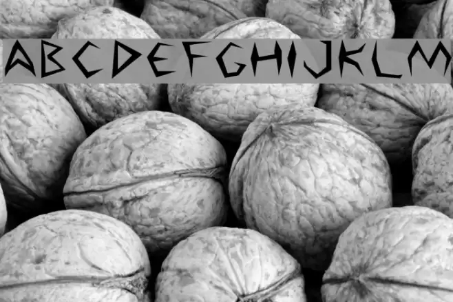 Argosy Font examples