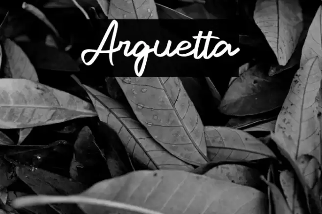 Arguetta Font examples