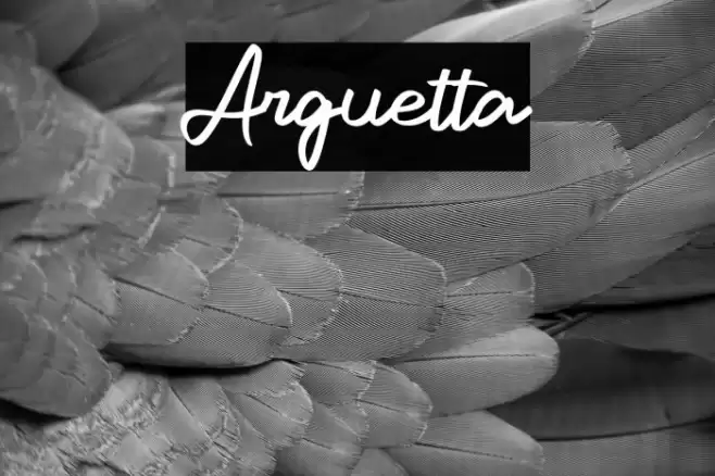 Arguetta Font examples