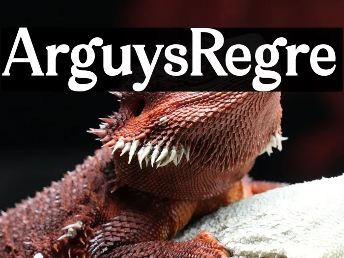Arguys Regret Example 3