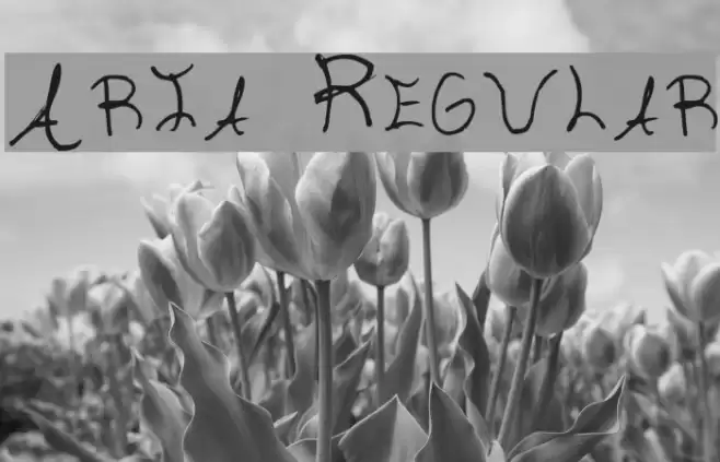Aria Regular Fuentes examples