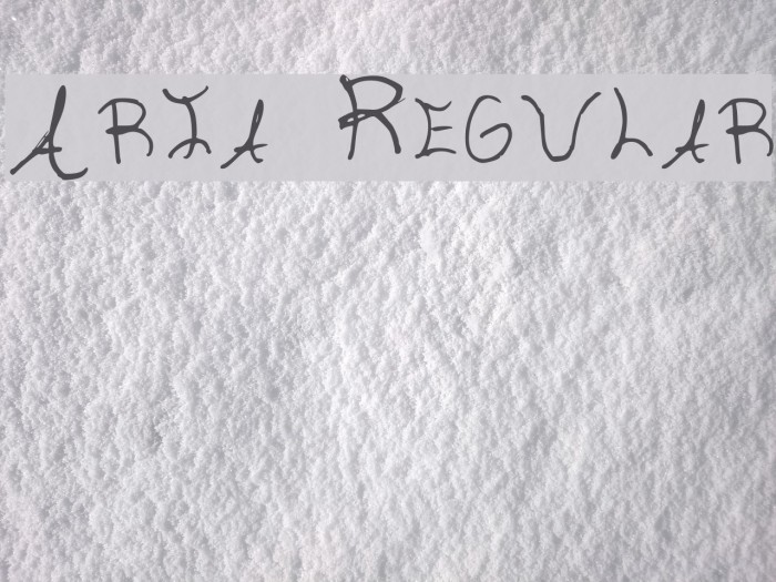 Aria Regular Font examples