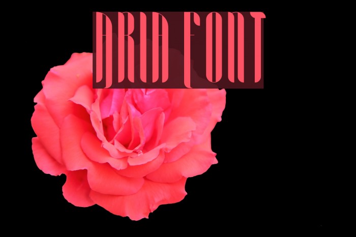 Aria Font examples