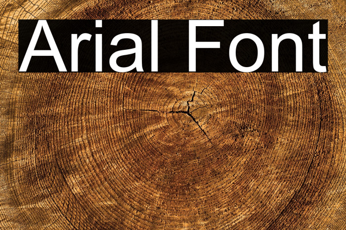 Arial Font examples