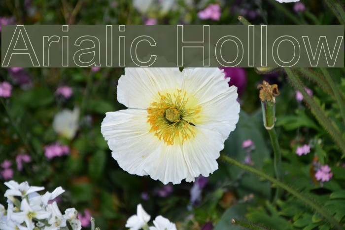 Arialic Hollow Example 2