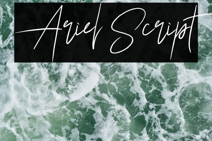 Ariel Script Font examples