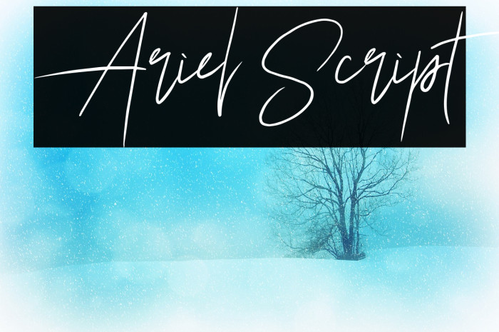 Ariel Script Font examples
