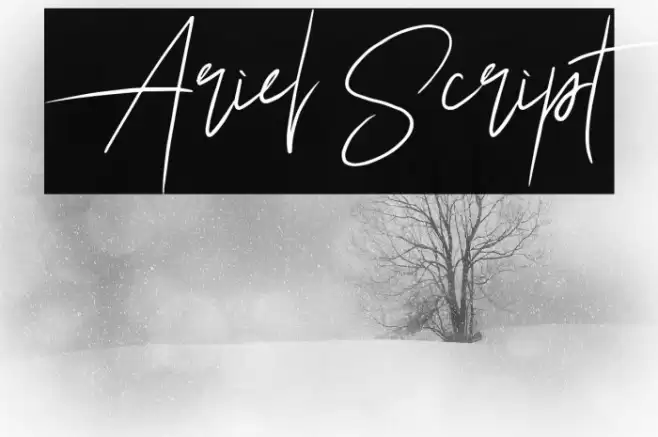 Ariel Script Fuentes examples