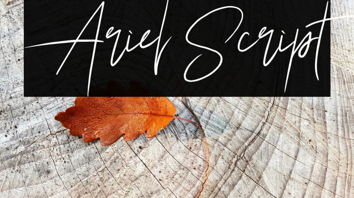 Ariel Script Font examples