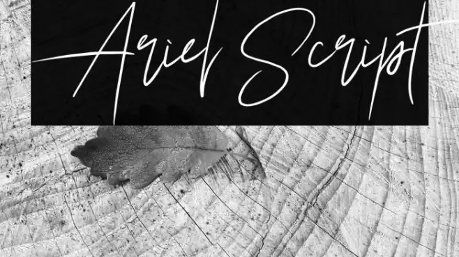 Ariel Script Fuentes examples