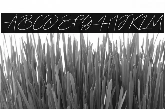 Ariel Script Fuentes examples