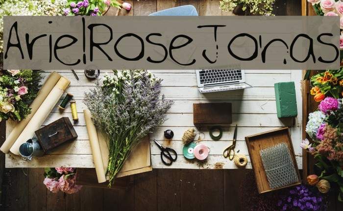 ArielRoseJonas Example 3