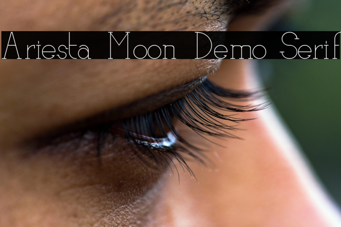 Ariesta Moon Demo Serif Example 1