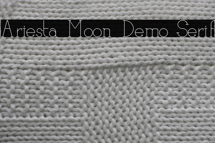 Ariesta Moon Demo Serif Example 2