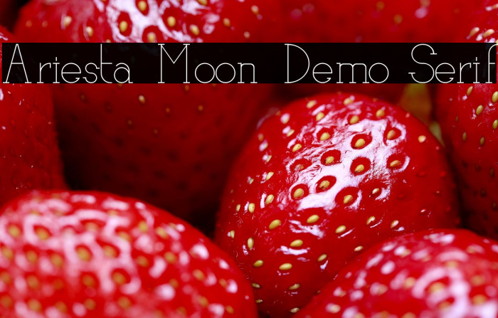 Ariesta Moon Demo Serif Example 3
