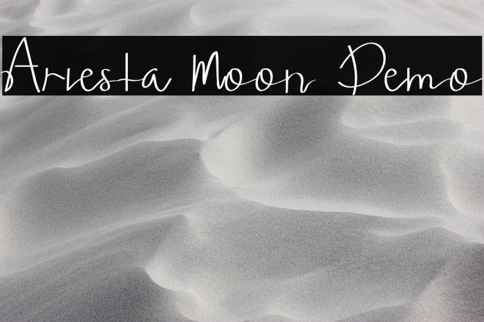 Ariesta Moon Demo Example 1
