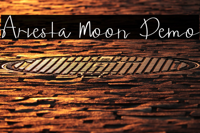 Ariesta Moon Demo Example 2