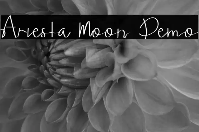 Ariesta Moon Demo Font examples