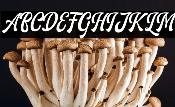 AriesthaScript Example 1