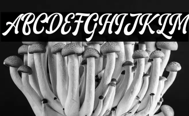 AriesthaScript Font examples