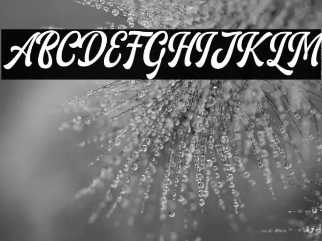 AriesthaScript Font examples