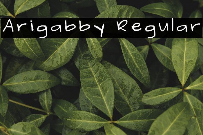 Arigabby Regular Example 3