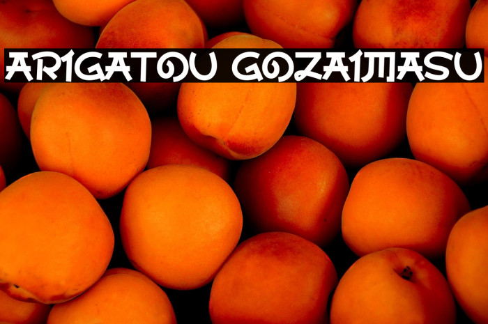 Arigatou Gozaimasu Example 1