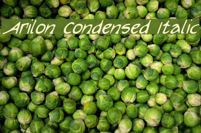 Arilon Condensed Italic Font examples