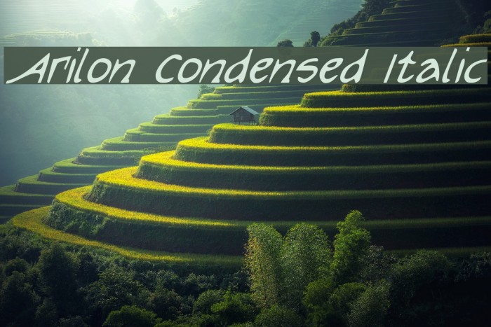 Arilon Condensed Italic Font examples
