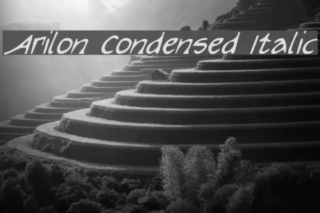 Arilon Condensed Italic خط examples