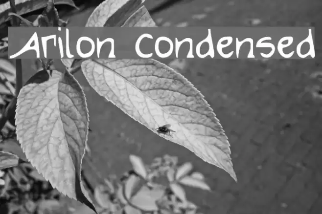 Arilon Condensed Font examples