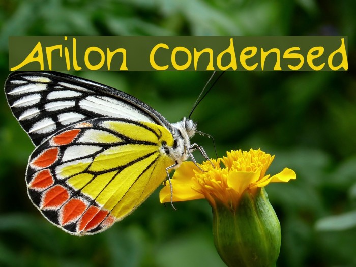 Arilon Condensed Example 3