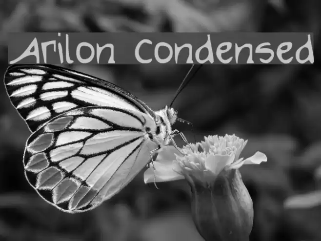 Arilon Condensed Font examples