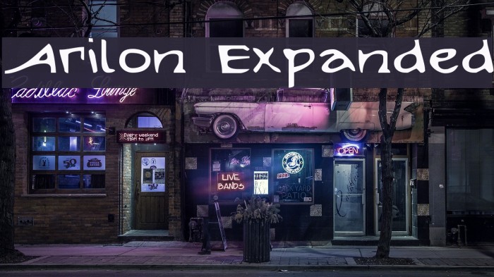 Arilon Expanded Example 3