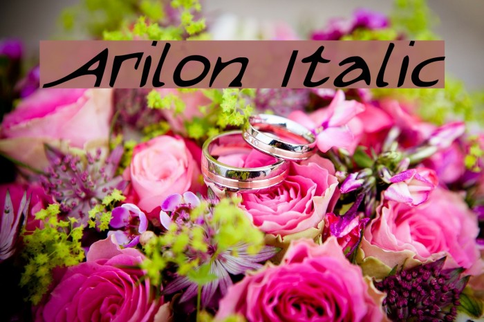 Arilon Italic Font examples