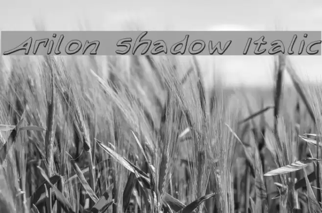 Arilon Shadow Italic Font examples