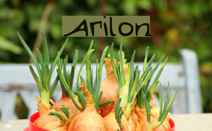 Arilon Font examples