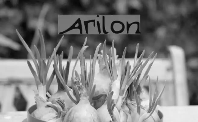 Arilon Example 2