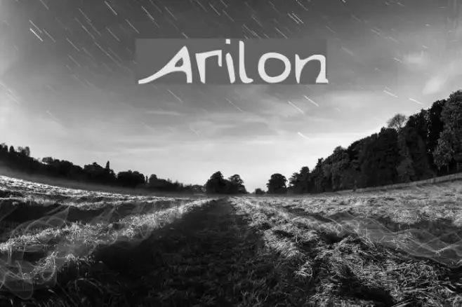 Arilon Example 3