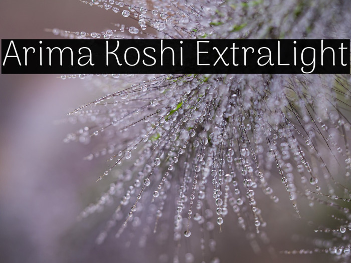 Arima Koshi ExtraLight Example 2