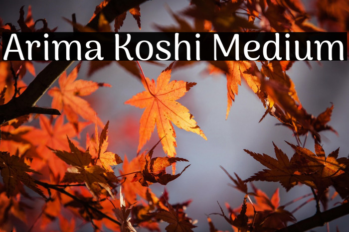 Arima Koshi Medium Example 1