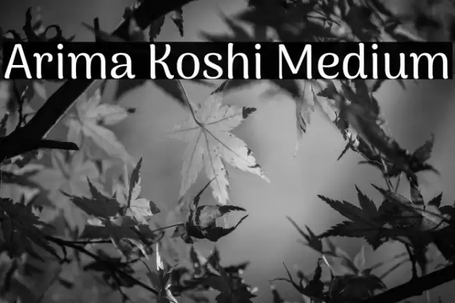 Arima Koshi Medium Schriftart examples