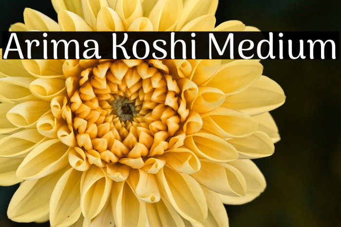 Arima Koshi Medium Example 2