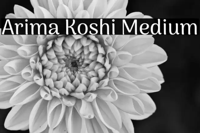 Arima Koshi Medium Schriftart examples