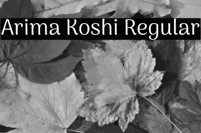 Arima Koshi Regular Font examples