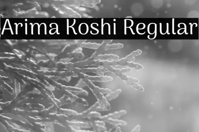 Arima Koshi Regular Font examples