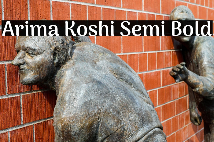 Arima Koshi Semi Bold Example 3