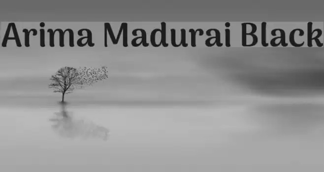 Arima Madurai Black Font examples