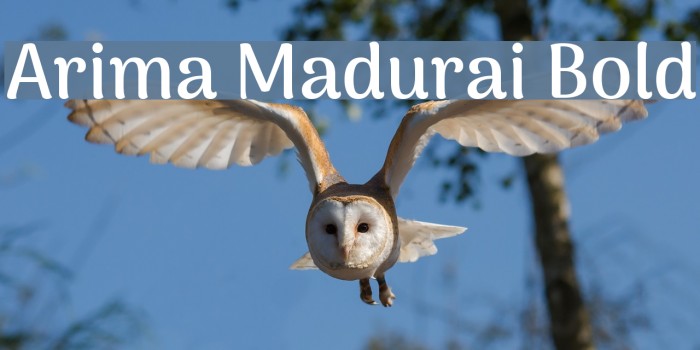 Arima Madurai Bold Example 2