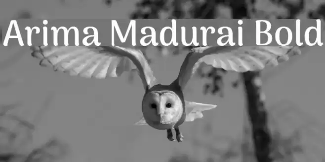 Arima Madurai Bold Font examples